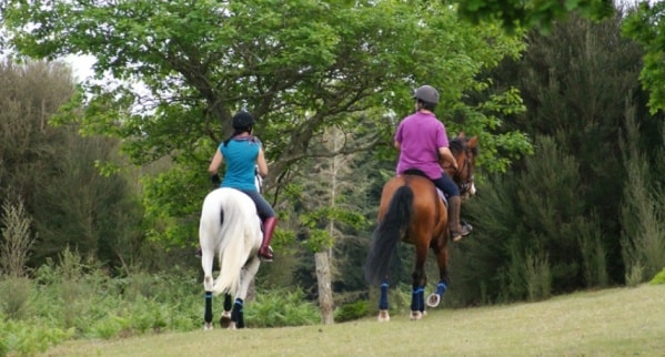 Horse Riding in Madeira Island min